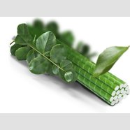 Композитная опора для растений LIGHTgreen 10мм